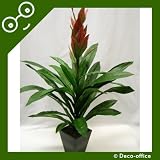 50cm Potted Artificial Silk Guzmania Magnifica Plant ~ Office Plant with Pot ~ Home & Conservatory Decoration