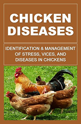 Chicken Diseases: Identification And Management Of Stress, Vices, And Diseases In Chickens