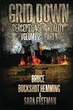Grid Down Perceptions Of Reality Vol 2 Book 1 (Volume 2) 