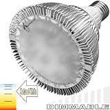 ecoBrites Ultr-Brites Dimmable 12x2w Lobbies Entrances.