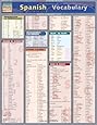 Spanish Vocabulary (Quickstudy: Academic)