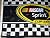 *54X AUTOGRAPHED* 2014 NASCAR Sprint Cup Series Large Full-Size 3X5 Racing Flag with COA (Autographs include: Dale Jr, Jeff Gordon, Tony Stewart, Jimmie Johnson, Danica Patrick, Chase Elliott, Kyle Larson, Kevin Harvick, Kyle Busch, Richard Petty, and Man