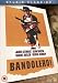 Bandolero! [1968]