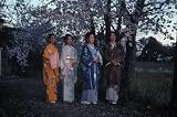 The Makioka Sisters (The Criterion Collection)