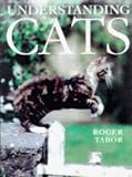 : Understanding Cats