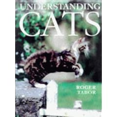 Understanding Cats