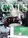 Books : Understanding Cats