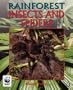 Rainforests: Insects and Spiders