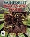 cover of Rainforest Insects and Spiders