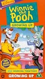 Winnie The Pooh : Growing Up And Working Together