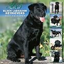 365 Days Black Labrador Retrievers Calander 2007