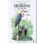 Guide des herons du monde                         &hellip de Hancock/Kushlan