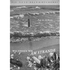 An deutschen Küsten: Was finden wir am Strande: Bd 3 (Broschiert)