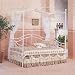 Coaster Canopy Daybed