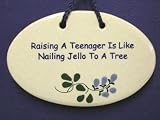 POTTERY WALL PLAQUE WITH SAYING TEENAGER 4X6 INCH OVAL