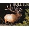 Elk . . & Deer . . in 2012 Calendars !