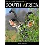South Africa: Photo Safari Companion