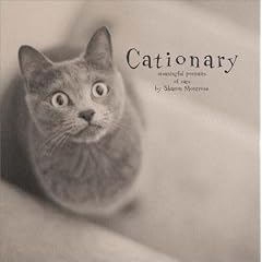Cationary