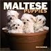 Book Maltese Puppies Mini 2004 Calendar