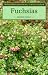 Fuchsias (Wisley Handbook-Royal Horticultural Society)
