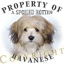 Havanese Mousepad Dog Mouse Pad "Property Of"