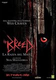 the breed (Dvd) Italian Import