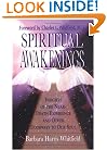 Spiritual Awakenings: Insights of the Near Death Experience and Other Doorways to Our Soul