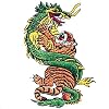 Tiger-Dragon Patch
