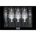 Empire 265579 Giger, H. R. - Li II - Fantasy Plakat Poster Druck - 91.5 x 61 cm