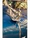 Photographic Prints of A hood ornament (mascot) on the bonnet of a vintage American Chevrolet, Havana, from Robert Harding