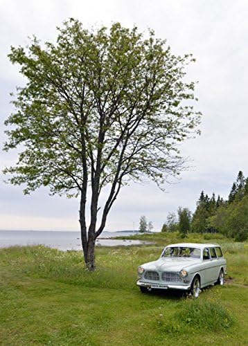 Volvo Amazon Wood Frame Canvas Prints 12" X 16"