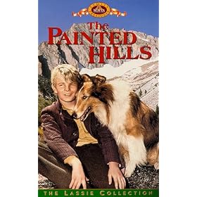 Painted Hills [VHS]
