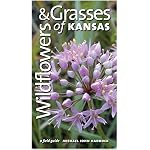 Wildflowers And Grasses Of Kansas: A Field Guide book cover