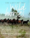 The Last of the Wild Horses (American Collection S.)