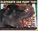 Elephants Can Paint Too! (Ala Notable Children's Books. Younger Readers (Awards))