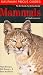 Book Kaufman Focus Guide to Mammals of North America (Kaufman Focus Guides)