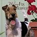 Fox Terriers, Wire 2004 Calendar