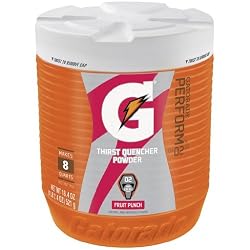 Gatorade Perform 02 Fruit Punch Powder-18.4 oz
