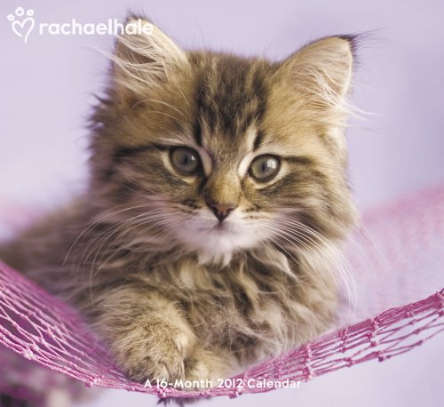 2012 Rachael Hale Cats Wall Calendar