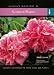 Scented Plants: Instant Reference to More Than 250 Plants