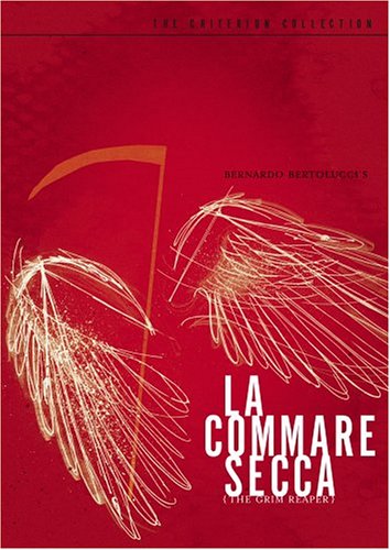 Watch La Commare Secca - Criterion Collection Online!