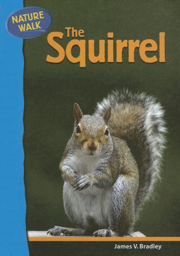 The Squirrel (Nature Walk) (Nature Walk)