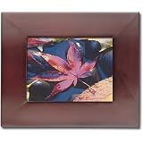 Click here to buy Westinghouse 5.6-Inch LCD Digital Photo Frame by Westinghouse.