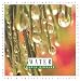 Book Water (Let's Investigate) (Let's Investigate)