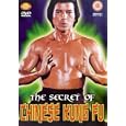 Secret Of Chinese Kung Fu