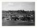 Historic Print (M): Business Section, Pagosa Springs, Colorado