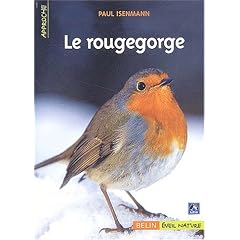 Le rougegorge