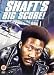 Shaft's Big Score [DVD] [1972]
