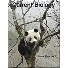 Coordination of Endoplasmic Reticulum and mRNA Localization to the Yeast Bud [A short communication from: Current Biology