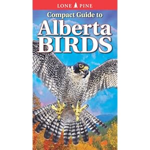 Bird Of Alberta